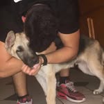 Bruno - @bruno.ortiz_ - Instagram