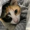 Bruno Ortiz - @bruno.ortiz629 - TikTok