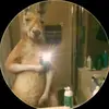 brunoortiz843 - @brunoortiz843 - TikTok