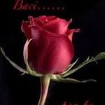 Bruno Palermo - @bruno.palermo.334491 - Instagram