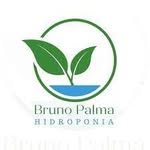 Curso de Hidroponia - @brunopalmaensina - Instagram