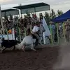 Bruno Rojas - @bruno.rojas101 - TikTok