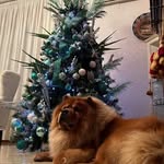 Bruno Romano - @brunoromano62 - Instagram