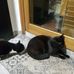 Bruno Rossi - Facebook
