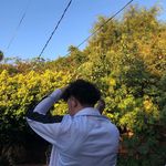 Bruno Ruiz Diaz 🇵🇾 - @brunoruizdiaz19 - Instagram
