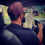 Bruno Savora  - @brunosavora - Instagram