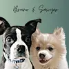 Bruno & Sawyer - @thepawfectbrothers - TikTok