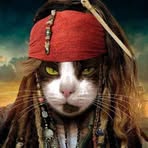 Bruno Sawyer - Facebook