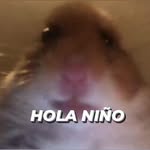 bruno scala - @bruno_scale - Instagram