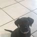 Bruno Scala - Facebook