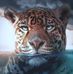 Bruno Schultz - Facebook