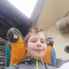 Bruno Schulz - @brunus.schulz - TikTok