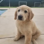 Bruno Schwartz - @brun_131 - Instagram