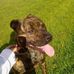 Bruno Schwarz - Facebook
