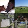 brunoselva641 - @brunoselva641 - TikTok