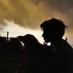bruno Sequeira - @bruno.seq - Instagram