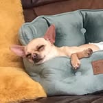Bruno Sharples - @brunosharples420 - Instagram