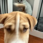 @brunosharpeix - Instagram