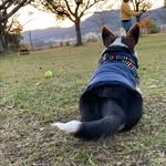 @bruno_shawn_taka - Instagram