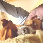 Bruno Schick - Facebook