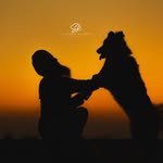 BHAU GSD KENNEL - @brunoshepherd_2023 - Instagram
