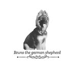 Bruno - @bruno_the_german._.shepherd - Instagram