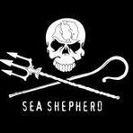 Bruno Shepherd - Facebook