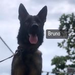 Bruno Shepherd - Facebook