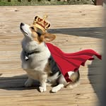 bruno diaz - @bruno_shortlegs - Instagram