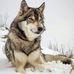 Bruno Simonato - Facebook