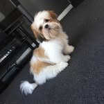 Bruno - @bruno.singhofficial - Instagram
