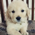Bruno Singh - @brunosingh72 - Instagram