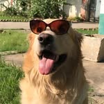 Bruno Singh - @rockstar_bruno - Instagram