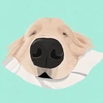 Bruno Singh - @_purvawithpaw - Instagram