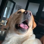 Bruno Singh Saluja - @bruno_singh_saluja - Instagram