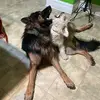 BrunoSnow - @brunosnow094 - TikTok