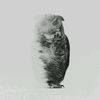 Bruno Solis - @brunosols - TikTok