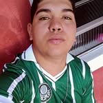 Bruno Sullivan - @bruno_palmeirasstore_taboao - Instagram