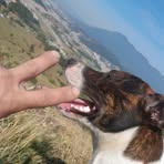 Bruno Soares - Facebook