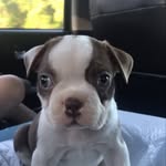 Bruno Kevin Tanner - @bruno_tanner2020 - Instagram