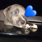 Bruno Tanner - @bruno00tanner - Instagram