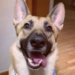 Bruno Tanner - @bruno__tanner - Instagram
