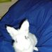 Bruno Tempesta - Facebook