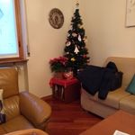 Bruno Tomasi - @tomasi528 - Instagram