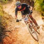 Bruno Tonelli - @bruno_tonelli - Instagram