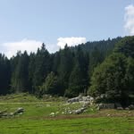 Bruno Tonin - @bruno.tonin.69 - Instagram