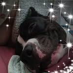 Bruno Townsend - Facebook