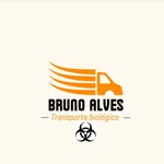 Bruno Transporte - @bruno_alves_transporte - Instagram