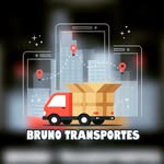 Bruno Transportes - @transportes.bruno - Instagram