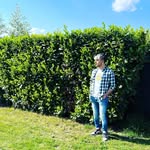 Bruno Tripodi - @bruno.tripodi_02 - Instagram